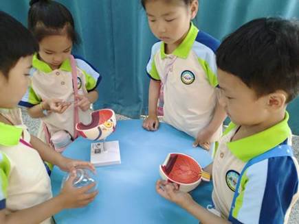 7f334d913a608425e55f5219611dec6